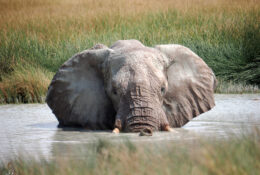 Namibia_August (97/135)